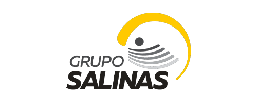 Grupo-Salinas